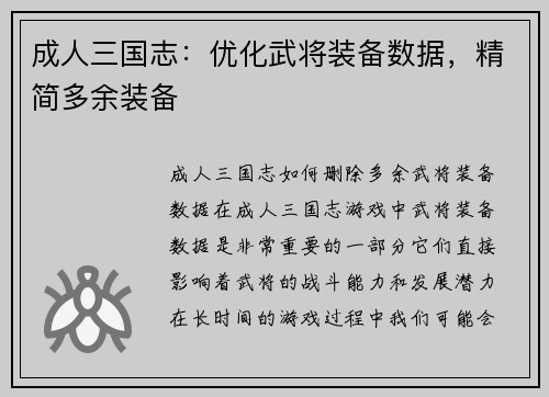 成人三国志：优化武将装备数据，精简多余装备